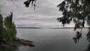 ./images/koeye/fitz-hugh/20260625/fitz-hugh20260625_181501M.jpg