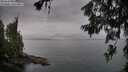 ./images/koeye/fitz-hugh/20260625/fitz-hugh20260625_184501M.jpg