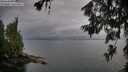 ./images/koeye/fitz-hugh/20260625/fitz-hugh20260625_193501M.jpg