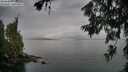./images/koeye/fitz-hugh/20260625/fitz-hugh20260625_200501M.jpg