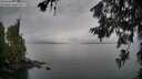 ./images/koeye/fitz-hugh/20260625/fitz-hugh20260625_201002M.jpg