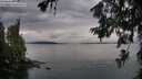 ./images/koeye/fitz-hugh/20260625/fitz-hugh20260625_202501M.jpg