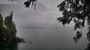 ./images/koeye/fitz-hugh/20260625/fitz-hugh20260625_210501M.jpg