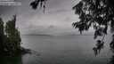 ./images/koeye/fitz-hugh/20260625/fitz-hugh20260625_212502M.jpg