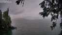 ./images/koeye/fitz-hugh/20260625/fitz-hugh20260625_215002M.jpg