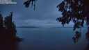 ./images/koeye/fitz-hugh/20260625/fitz-hugh20260625_223501M.jpg