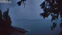 ./images/koeye/fitz-hugh/20260626/fitz-hugh20260626_044002M.jpg