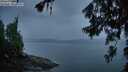 ./images/koeye/fitz-hugh/20260626/fitz-hugh20260626_045502M.jpg