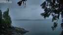 ./images/koeye/fitz-hugh/20260626/fitz-hugh20260626_050501M.jpg