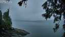 ./images/koeye/fitz-hugh/20260626/fitz-hugh20260626_051501M.jpg