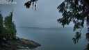 ./images/koeye/fitz-hugh/20260626/fitz-hugh20260626_052002M.jpg