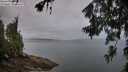 ./images/koeye/fitz-hugh/20260626/fitz-hugh20260626_055501M.jpg