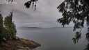./images/koeye/fitz-hugh/20260626/fitz-hugh20260626_060001M.jpg
