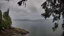 ./images/koeye/fitz-hugh/20260626/fitz-hugh20260626_060501M.jpg