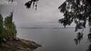 ./images/koeye/fitz-hugh/20260626/fitz-hugh20260626_062002M.jpg