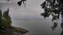 ./images/koeye/fitz-hugh/20260626/fitz-hugh20260626_062501M.jpg