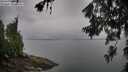./images/koeye/fitz-hugh/20260626/fitz-hugh20260626_063001M.jpg