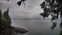 ./images/koeye/fitz-hugh/20260626/fitz-hugh20260626_064502M.jpg