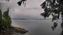 ./images/koeye/fitz-hugh/20260626/fitz-hugh20260626_065501M.jpg