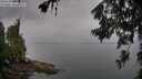 ./images/koeye/fitz-hugh/20260626/fitz-hugh20260626_080501M.jpg