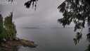 ./images/koeye/fitz-hugh/20260626/fitz-hugh20260626_082001M.jpg