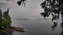 ./images/koeye/fitz-hugh/20260626/fitz-hugh20260626_090501M.jpg