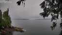 ./images/koeye/fitz-hugh/20260626/fitz-hugh20260626_091001M.jpg
