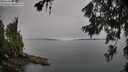 ./images/koeye/fitz-hugh/20260626/fitz-hugh20260626_093001M.jpg