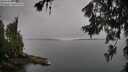 ./images/koeye/fitz-hugh/20260626/fitz-hugh20260626_093501M.jpg