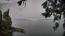 ./images/koeye/fitz-hugh/20260626/fitz-hugh20260626_094002M.jpg