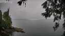 ./images/koeye/fitz-hugh/20260626/fitz-hugh20260626_095001M.jpg