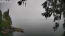 ./images/koeye/fitz-hugh/20260626/fitz-hugh20260626_101001M.jpg