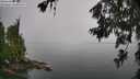 ./images/koeye/fitz-hugh/20260626/fitz-hugh20260626_102001M.jpg