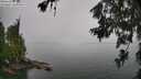 ./images/koeye/fitz-hugh/20260626/fitz-hugh20260626_102501M.jpg