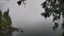./images/koeye/fitz-hugh/20260626/fitz-hugh20260626_110001M.jpg