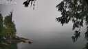 ./images/koeye/fitz-hugh/20260626/fitz-hugh20260626_111501M.jpg