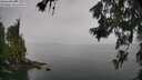 ./images/koeye/fitz-hugh/20260626/fitz-hugh20260626_113501M.jpg