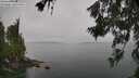 ./images/koeye/fitz-hugh/20260626/fitz-hugh20260626_114502M.jpg