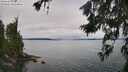 ./images/koeye/fitz-hugh/20260626/fitz-hugh20260626_124502M.jpg