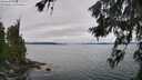 ./images/koeye/fitz-hugh/20260626/fitz-hugh20260626_125501M.jpg