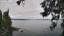 ./images/koeye/fitz-hugh/20260626/fitz-hugh20260626_130501M.jpg