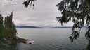 ./images/koeye/fitz-hugh/20260626/fitz-hugh20260626_131501M.jpg