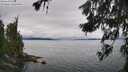 ./images/koeye/fitz-hugh/20260626/fitz-hugh20260626_132501M.jpg