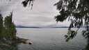 ./images/koeye/fitz-hugh/20260626/fitz-hugh20260626_133501M.jpg