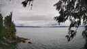./images/koeye/fitz-hugh/20260626/fitz-hugh20260626_134501M.jpg