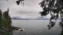 ./images/koeye/fitz-hugh/20260626/fitz-hugh20260626_135002M.jpg