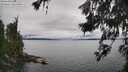 ./images/koeye/fitz-hugh/20260626/fitz-hugh20260626_135501M.jpg
