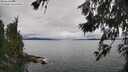 ./images/koeye/fitz-hugh/20260626/fitz-hugh20260626_140001M.jpg