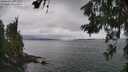 ./images/koeye/fitz-hugh/20260626/fitz-hugh20260626_142501M.jpg