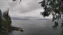 ./images/koeye/fitz-hugh/20260626/fitz-hugh20260626_143001M.jpg